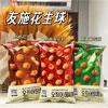 Ʒţ220027
Ʒƣ죺ʩζ102g
Ʒۣ<font color='red'>½Ա鿴
</font>ԭأ
Ʒ룺8809062651296